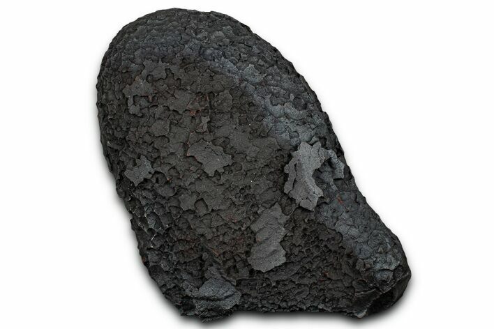 Dragon Scale Stone (Iron, Manganese, Siderite Nodule) #330308